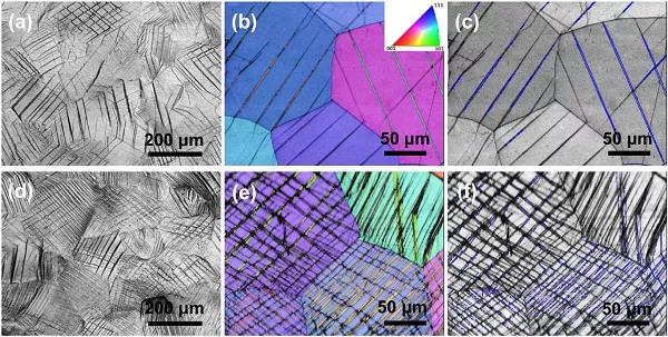 想更深刻的理解不斷問(wèn)鼎金屬頂刊且熱度不減的TWIP效應(yīng)？